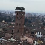 The Guinigi tower - Lucca